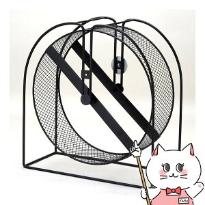 OW ^TCg 32yhappiestzyz֑z (6047596)