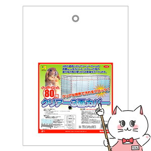 OW C[W[z[80p NA[3ʃJo[yhappiestzyz֑z (6047634)