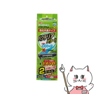 WFbNX 㕔tB^[poNeA}bgvX 2ZbgyhappiestzySBTz(6050350)