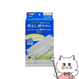 WFbNX NALED GRIA[ p[ zCgyhappiestzySBTz(6050364)