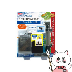 WFbNX _JC _JĂtB^[ZbgyhappiestzySBTz(6050367)