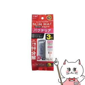 WFbNX oNeAX}bg 3NyhappiestzySBTz(6050371)