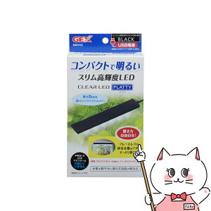 WFbNX NALED tbeB ubNyhappiestzySBTz(6050377)