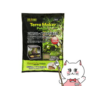 WFbNX GL]e eCJ[ p_ 3LyhappiestzySBTz(6050383)