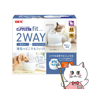 WFbNX sANX^ tBbg 900ml zCgyhappiestzySBTz(6050420)