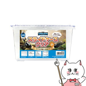 }J SAMURAI LIFESTYLE XChP[X NA yhappiestzySBTz(6050897)