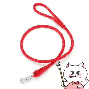 yő400~OFFN[|zAhCg Maniera [h SS bhyhappiestzySBTz (6027909)