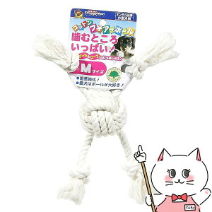 hM[} RbgtHA[{[ MyhappiestzySBTz(6028759)