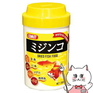 yő400~OFFN[|zCgXC Rbg ~WR 250mlyhappiestzySBTz (6030292)