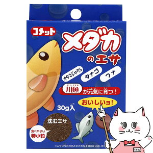 CgXC Rbg _J̃GT 30gyhappiestzySBTz (6030308)