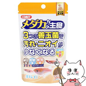 CgXC Rbg _J̎H [ 40g+10gyhappiestzySBTz (6030309)