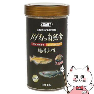 CgXC Rbg ^Wp _J̎RH 㐫 20gyhappiestzySBTz (6030314)