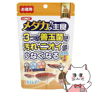 yő400~OFFN[|zCgXC Rbg _J̎H [ p 120g+30gyhappiestzySBTz (6030315)