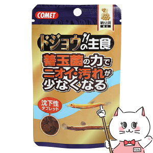 yő400~OFFN[|zCgXC Rbg hWE̎H [ 15gyhappiestzySBTz (6030317)