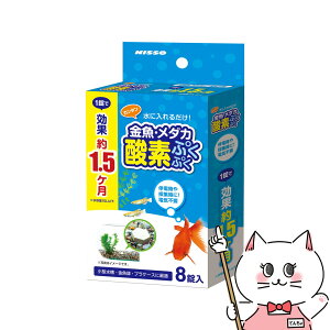 yő400~OFFN[|z}J E_J_fՂՂ 8yhappiestzySBTz(6050995)