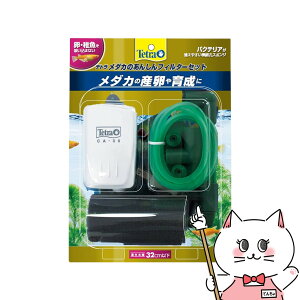 XyNg uY Wp eg _Ĵ񂵂tB^[ZbgyhappiestzySBTz(6051718)