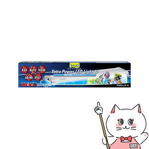 yő400~OFFN[|zXyNg uY Wp eg p[LEDCg 40yhappiestzyz֑z(6051727)