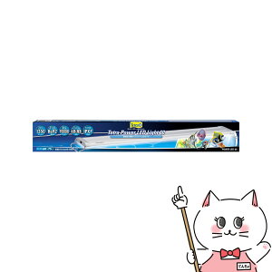 XyNg uY Wp eg p[LEDCg 60yhappiestzyz֑z(6051728)
