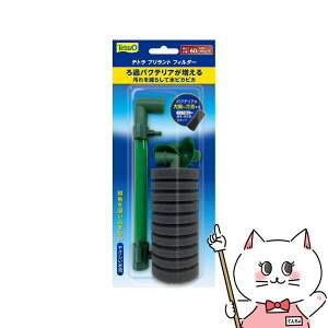 XyNg uY Wp eg ugtB^[yhappiestzySBTz(6051738)