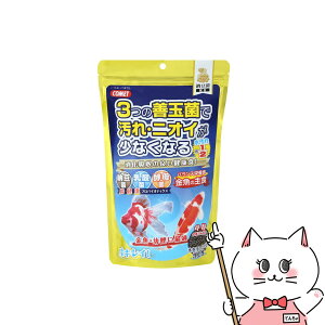 yő400~OFFN[|zCgXC ̎H [  430gyhappiestzySBTz(6052498)