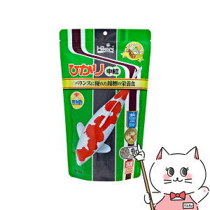 yő400~OFFN[|zL[ Ђ  400gyhappiestzySBTz(6052518)