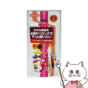 yő400~OFFN[|zL[ PЂ 180gyhappiestzySBTz(6052526)