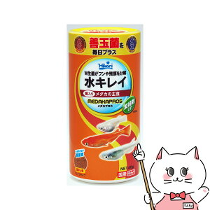 yő400~OFFN[|zL[ _JvX 48gyhappiestzySBTz(6052550)