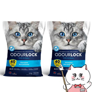 yő400~OFFN[|zyZbgzu[ybg I[hbN 6kg×2Zbgyhappiestz y120TCYzyz֑z iƂ̓s (6034881-set1)