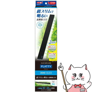 NALEDtbeB 3040BKyhappiestzySBTz(6054442)