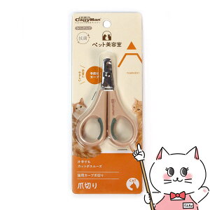 BS LpJ[uܐ؂yhappiestzySBTz(6054565)