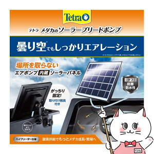 yő400~OFFN[|zeg _J̃\[[u[h|vyhappiestzyz֑z(6054654)