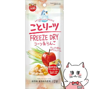 Ƃ[c R[ 12gyhappiestzySBTz(6054739)