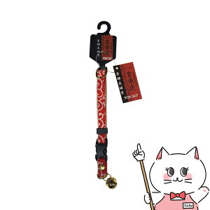 yő400~OFFN[|zyz   M ԁyЁ@ACu@_ˍH[BowvidƁzyhappiestzySBTz (6062612)