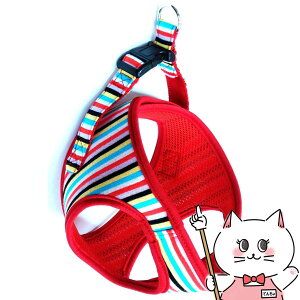 XgCv\tgn[lXS }`bh ԁyЁ@쐻쏊zyhappiestzySBTz (6062667)