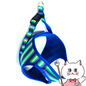 XgCv\tgn[lXS }`u[ yЁ@쐻쏊zyhappiestzySBTz (6062668)