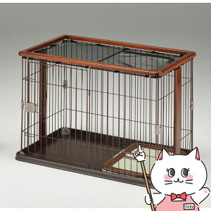 EbhT[N uE yЁ@{rARzyhappiestzy180TCYzyz֑ziƂ̓s yz֑z (6062726)