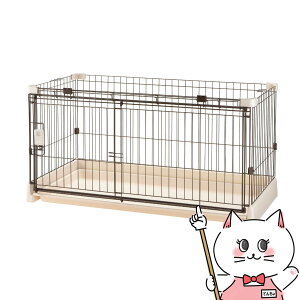 Ƃ|ȒPybgT[N 120-60 AC{[ AC{[yЁ@b`Fzyhappiestzy240TCYzyz֑ziƂ̓s yz֑z (6062734)