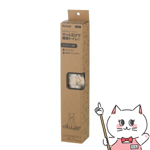 NłV[cg[Ch AC{[ AC{[yЁ@b`Fzyhappiestzyz֑ziƂ̓s yz֑z (6062736)