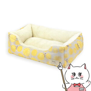 yő400~OFFN[|zHomey t[vgXNGAxbh S O[y ybgvWpzyhappiestzy100TCYzyz֑ziƂ̓s yz֑