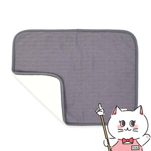 yő400~OFFN[|zybgv P[ujbguPbg O[y ybgvWpzyhappiestzy120TCYzyz֑ziƂ̓s yz֑