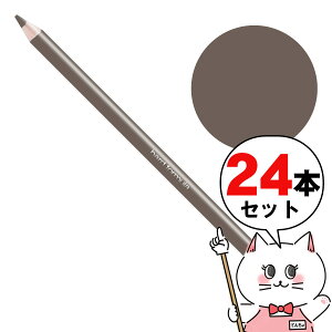 【最大400円OFFクーポン】【セット】【国内正規品】シュウウエムラ ハードフォーミュラ ハード9 ストーングレイ05×24本【アイブローペンシル】shu uemura【宅配便送料無料】 (6041774)