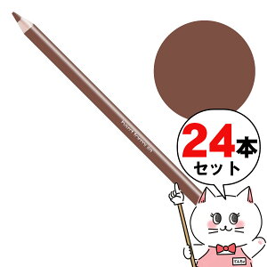 【最大400円OFFクーポン】【セット】【国内正規品】シュウウエムラ ハードフォーミュラ ハード9 ブラウン03×24本【アイブローペンシル】shu uemura【宅配便送料無料】 (6041777)