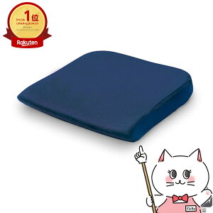 �e���s���[�� �V�[�g�N�b�V���� 40cm×42cm×5cm�y�������K�i 3�N�ۏ؁z�y��z�֑��������z (6028411)