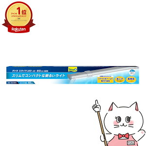XyNguYWp eg XChLED 45`60cmpyhappiestzyz֑z(6041443)