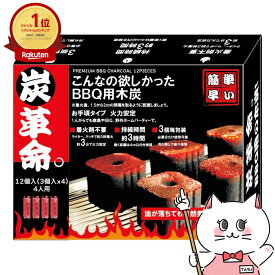 【数量限定】DSCジャパン 炭革命。 BBQ用木炭 お手頃タイプ12個入り【木炭 個包装 バーベキュー 簡単 お手軽 着火剤不要 火力安定 防災 キャンプ アウトドア】【ソロ・囲炉裏・火鉢・七輪・屋内利用も可】【宅配便送料無料】【GTT】 (6059165)