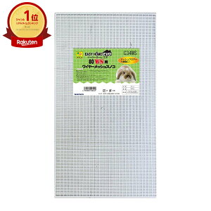 OW C[W[z[G{80 WSp C[bVEXmRyhappiestzy120TCYzyz֑z (6047620)