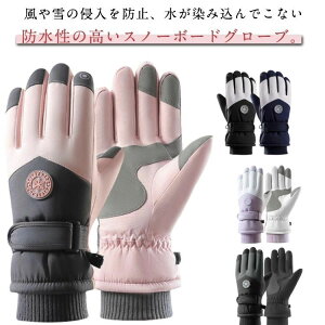 5{w X|[c  Xm[{[h ĂԂ WjA XL[O[u Xm[O[u fB[X Xm[O[u  ۉ N ~ H EFA AEghA h [N} 