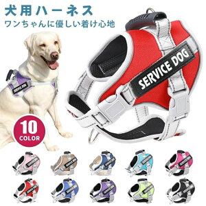  n[lX O   ^ ^ ^ ȒP nht  Ȃ EȂ ybgpn[lX l[ _炩 ʋC ybg U