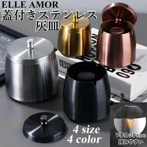 DM t^t ACRX Wt ӂt TCY  DM IV   XeX  e  O ^oR hL a 蕨 v[g ȒP֗ Mtg