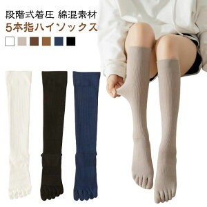 X| hL ߕt C fB[X  H~ ₦Ƃ t Y \bNX  d˗ VFCv\bNX nC\bNX